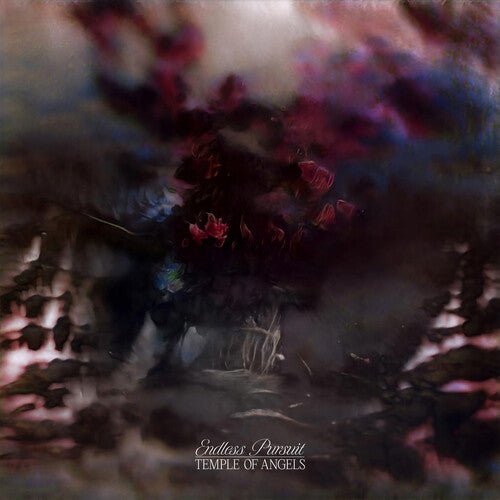 Temple of Angels - Endless Pursuit - Cloudy Clear - LEVITATION