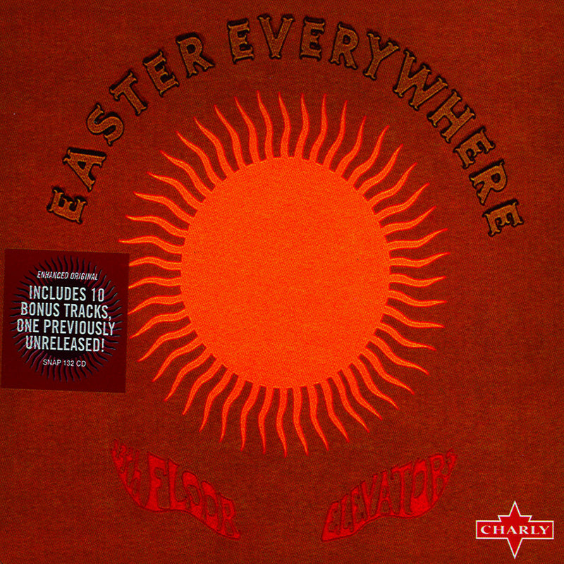 The 13th Floor Elevators