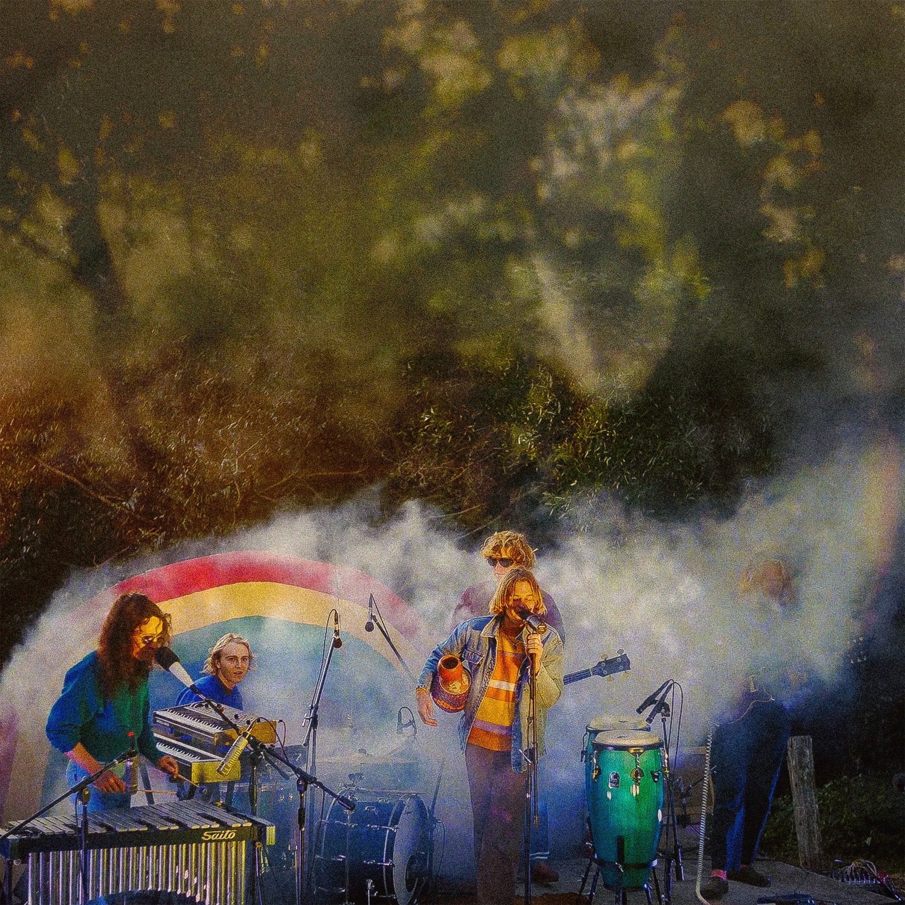 The Babe Rainbow - Levitation Sessions LP - LEVITATION