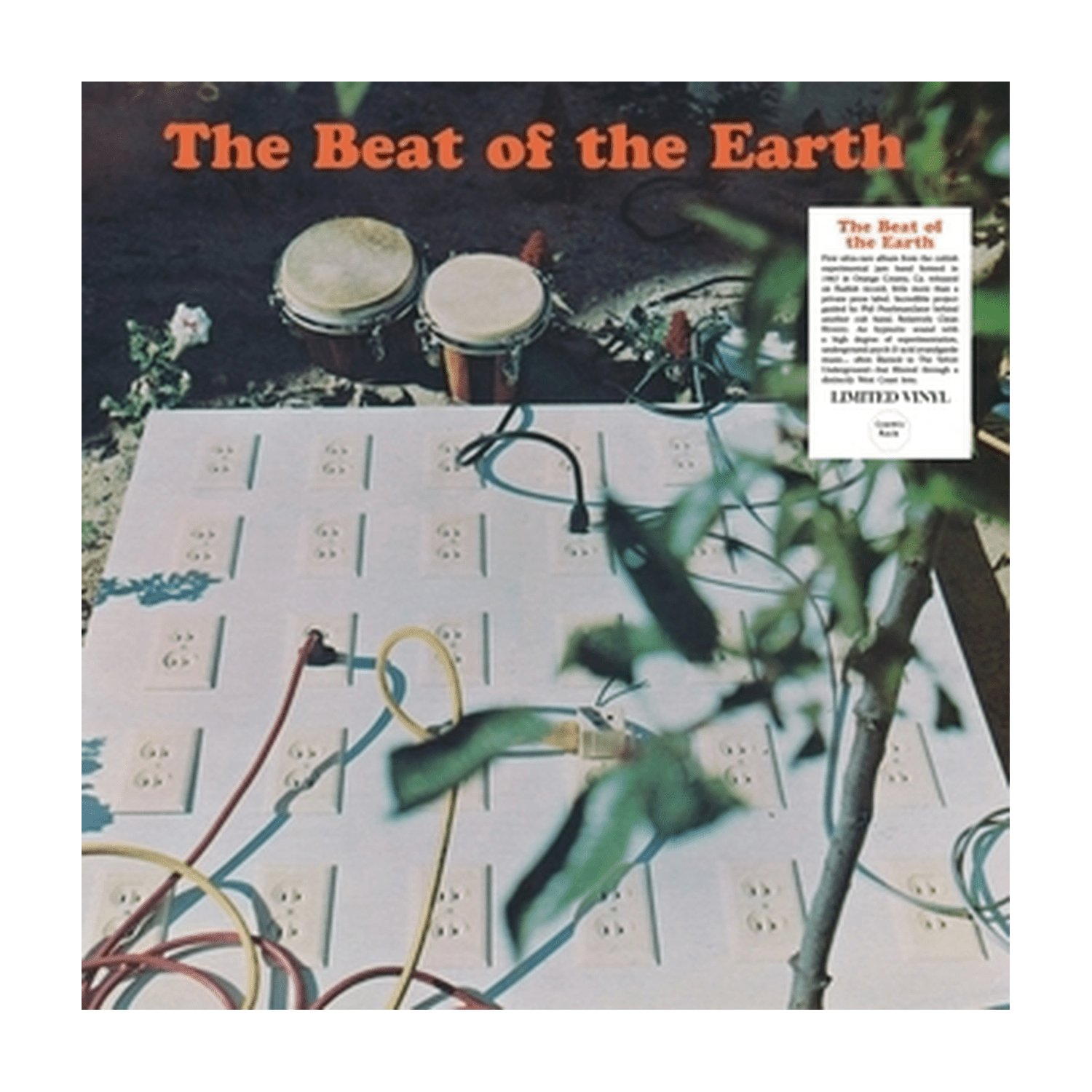 The Beat Of The Earth - LEVITATION