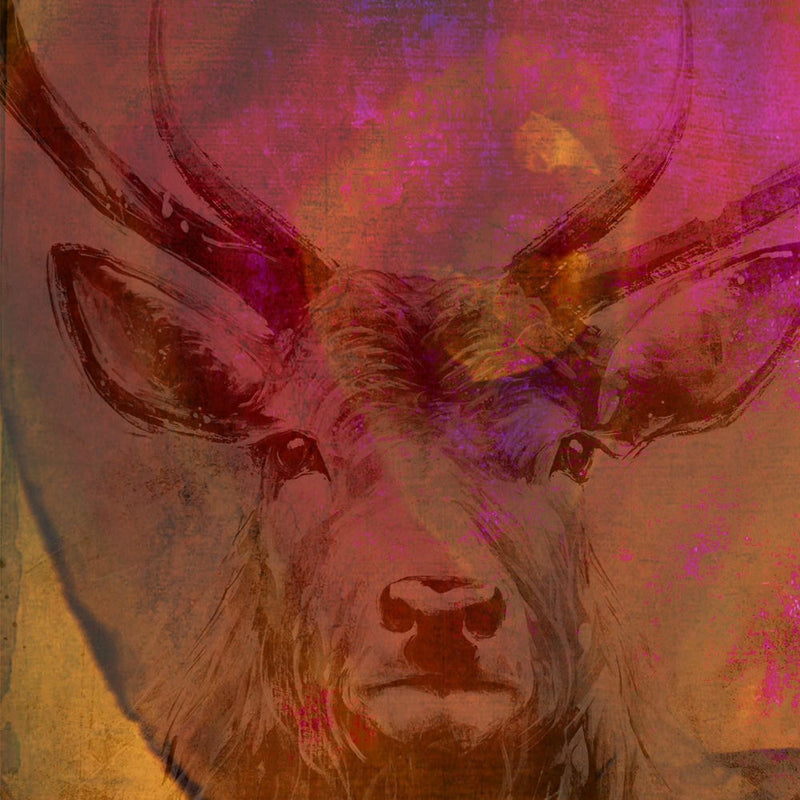 The Legendary Pink Dots