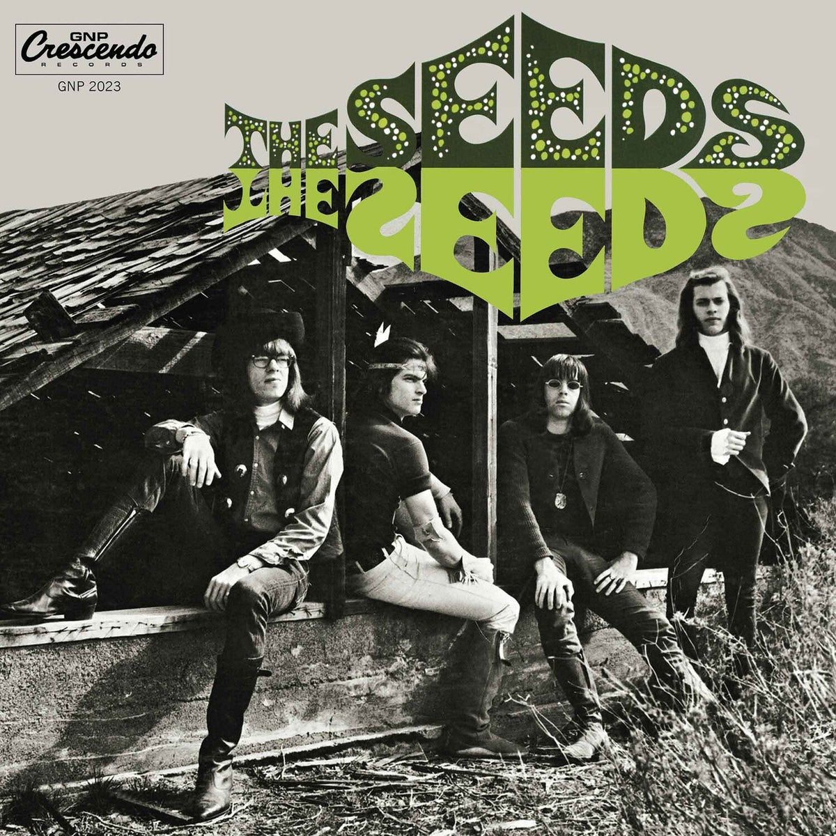 The Seeds - LEVITATION