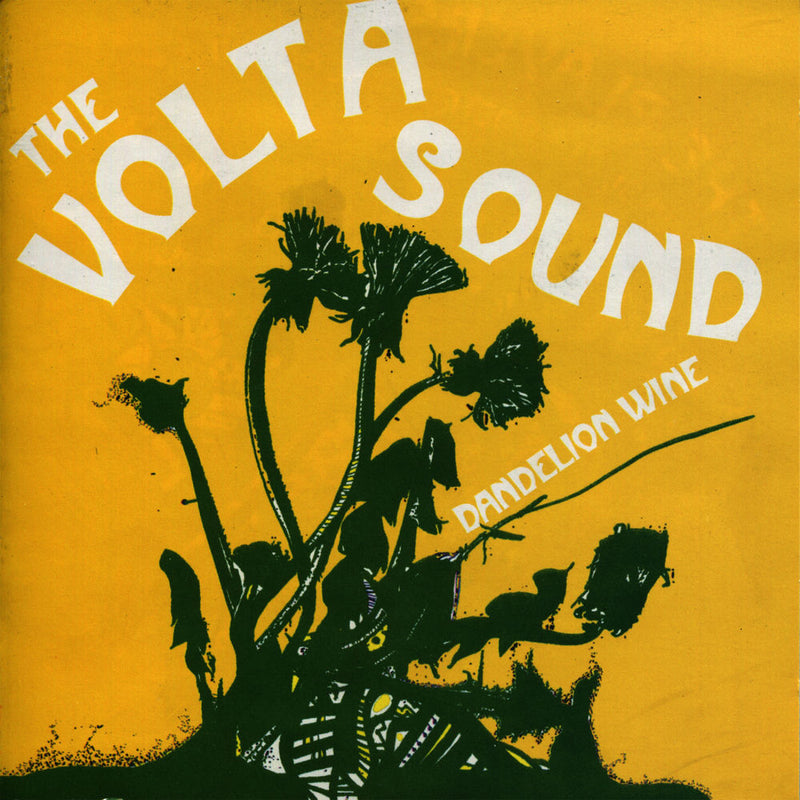 The Volta Sound