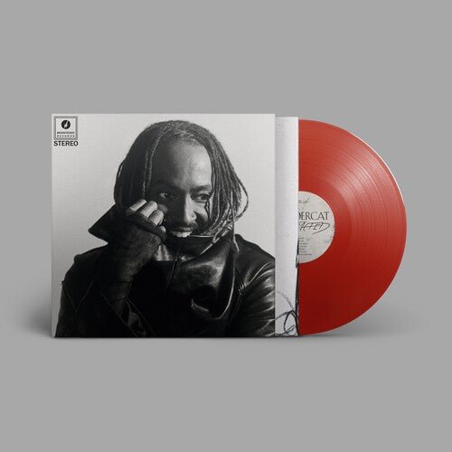 Thundercat - Distracted - LEVITATION