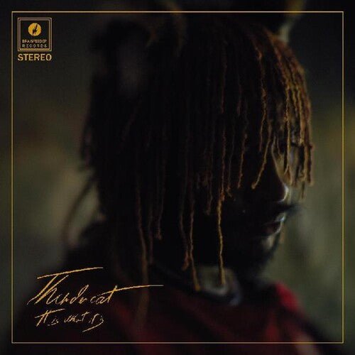Thundercat - It is What It is - LEVITATION