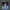 Tim Buckley - I Can't See You - LEVITATION