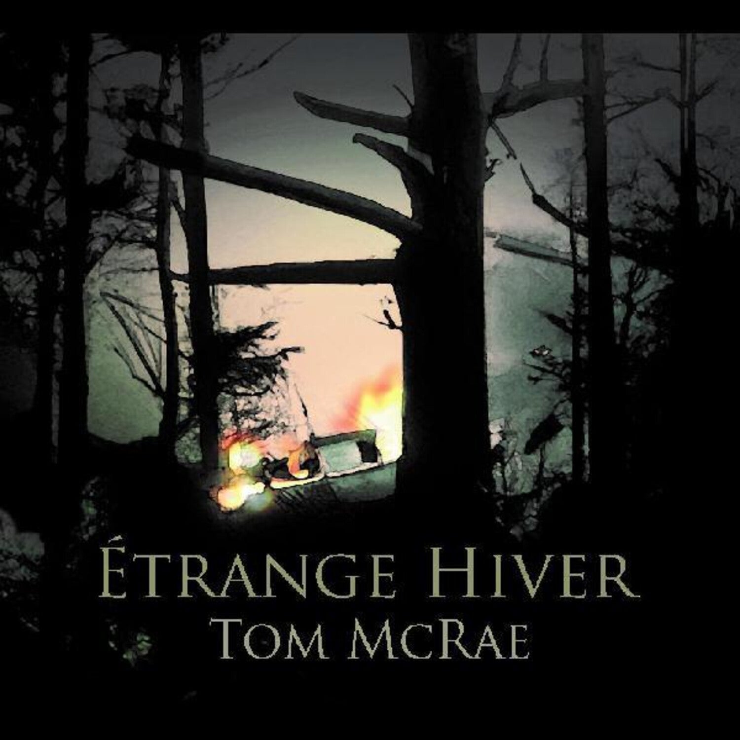 Tom McRae - Etrange Hiver - LEVITATION