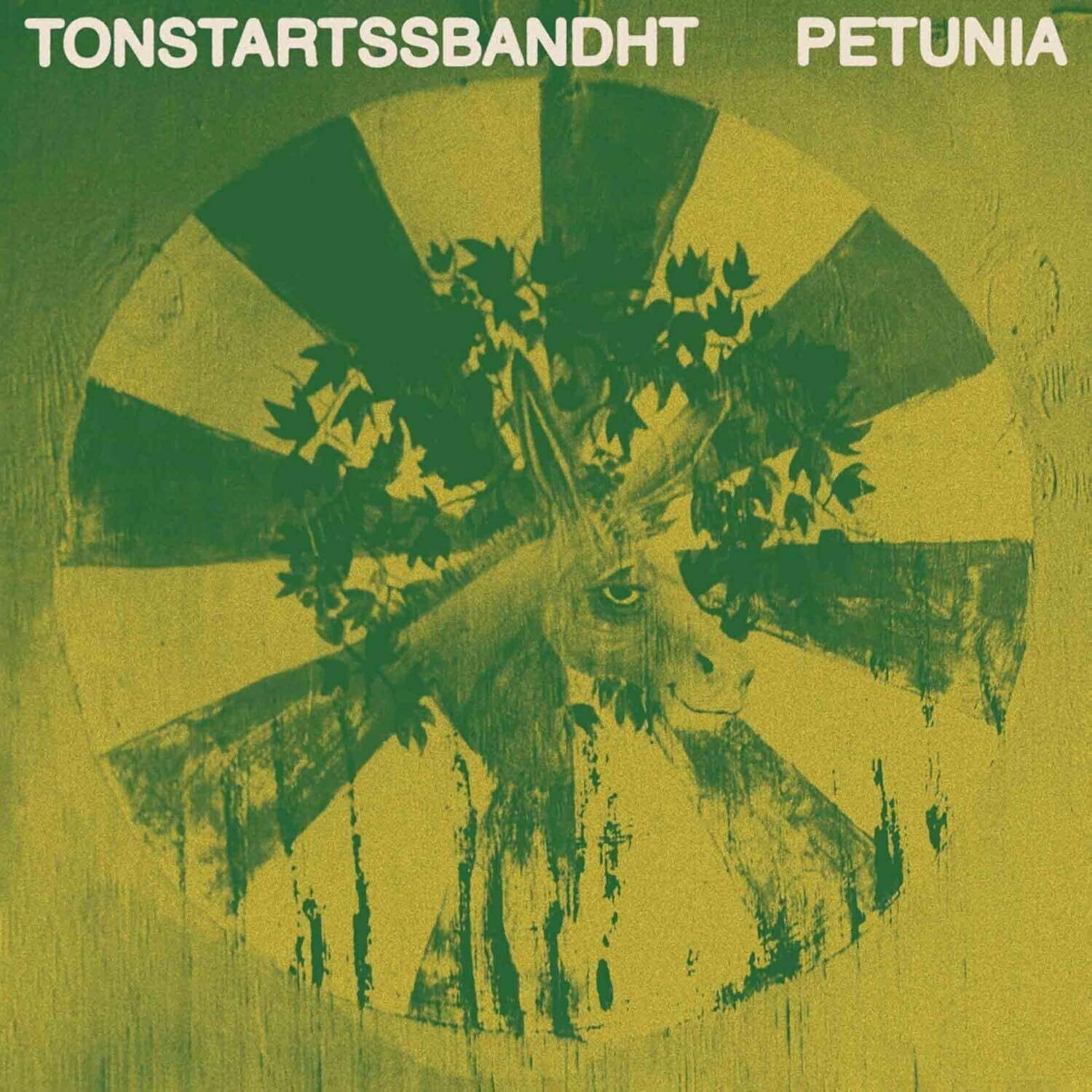 Tonstartssbandht - Petunia - LEVITATION