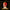 Toyah - Twenty-Four From Toyah 24xCD - LEVITATION