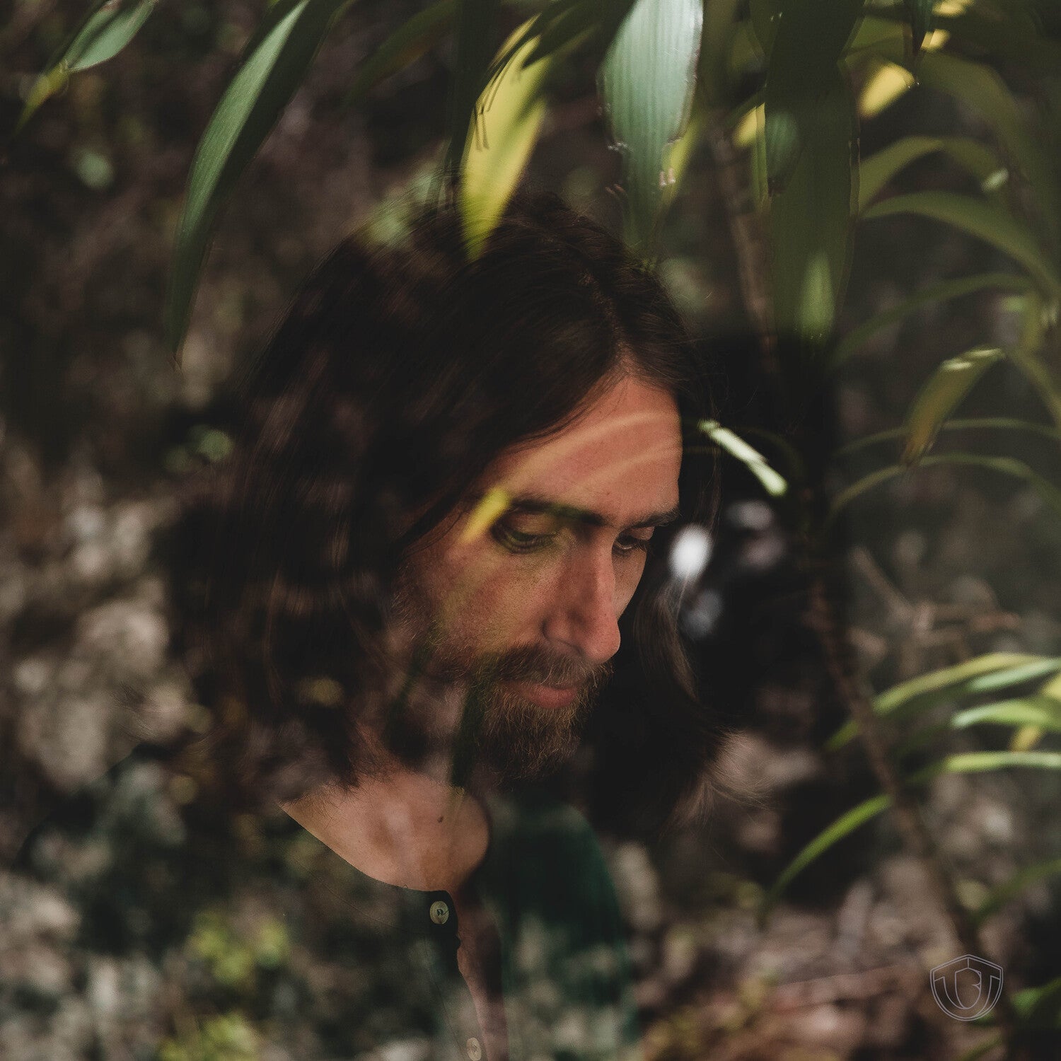 Trevor Beld Jimenez - I Like It Here - LEVITATION