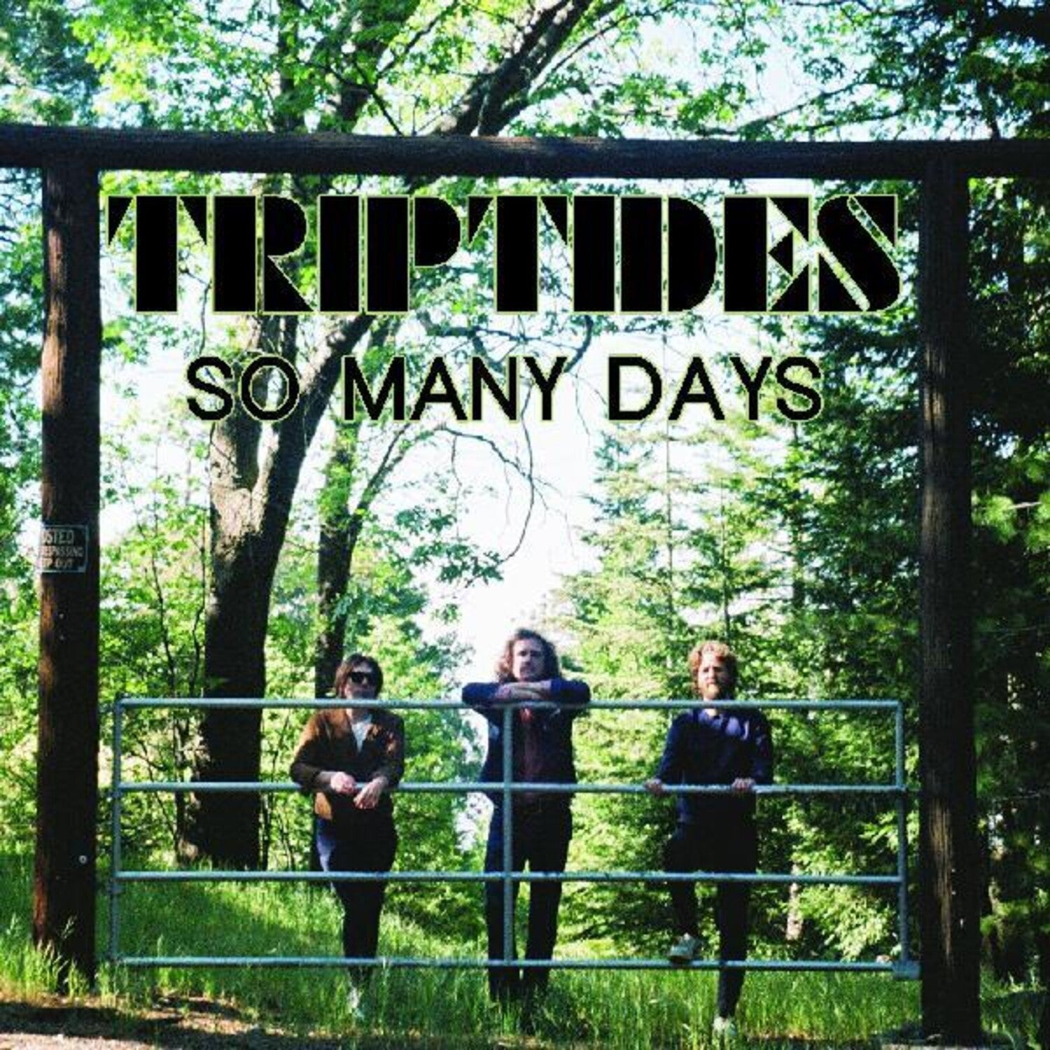 Triptides - So Many Days - LEVITATION