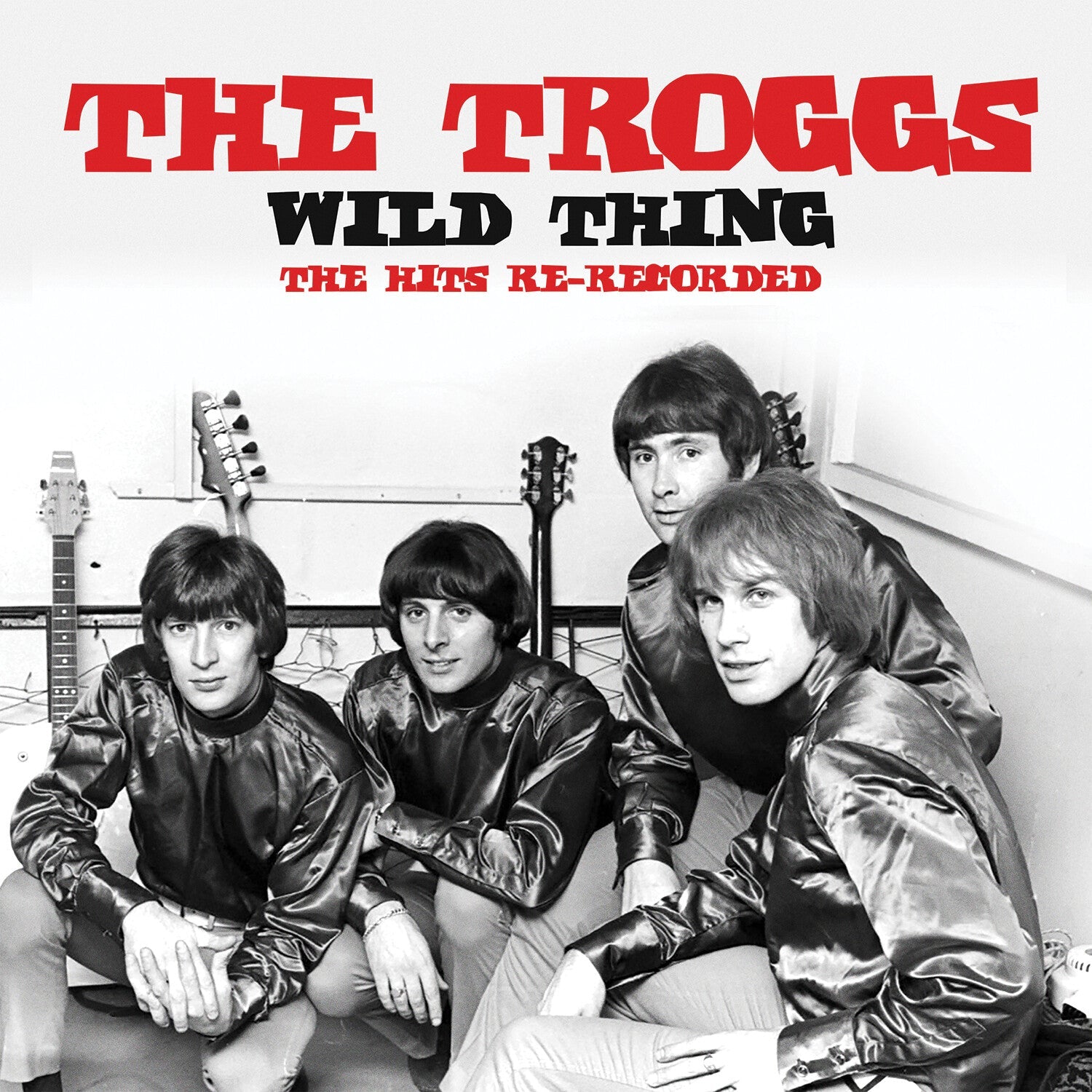 Troggs - Wild Thing: The Hits Re-Recorded (CD) - LEVITATION