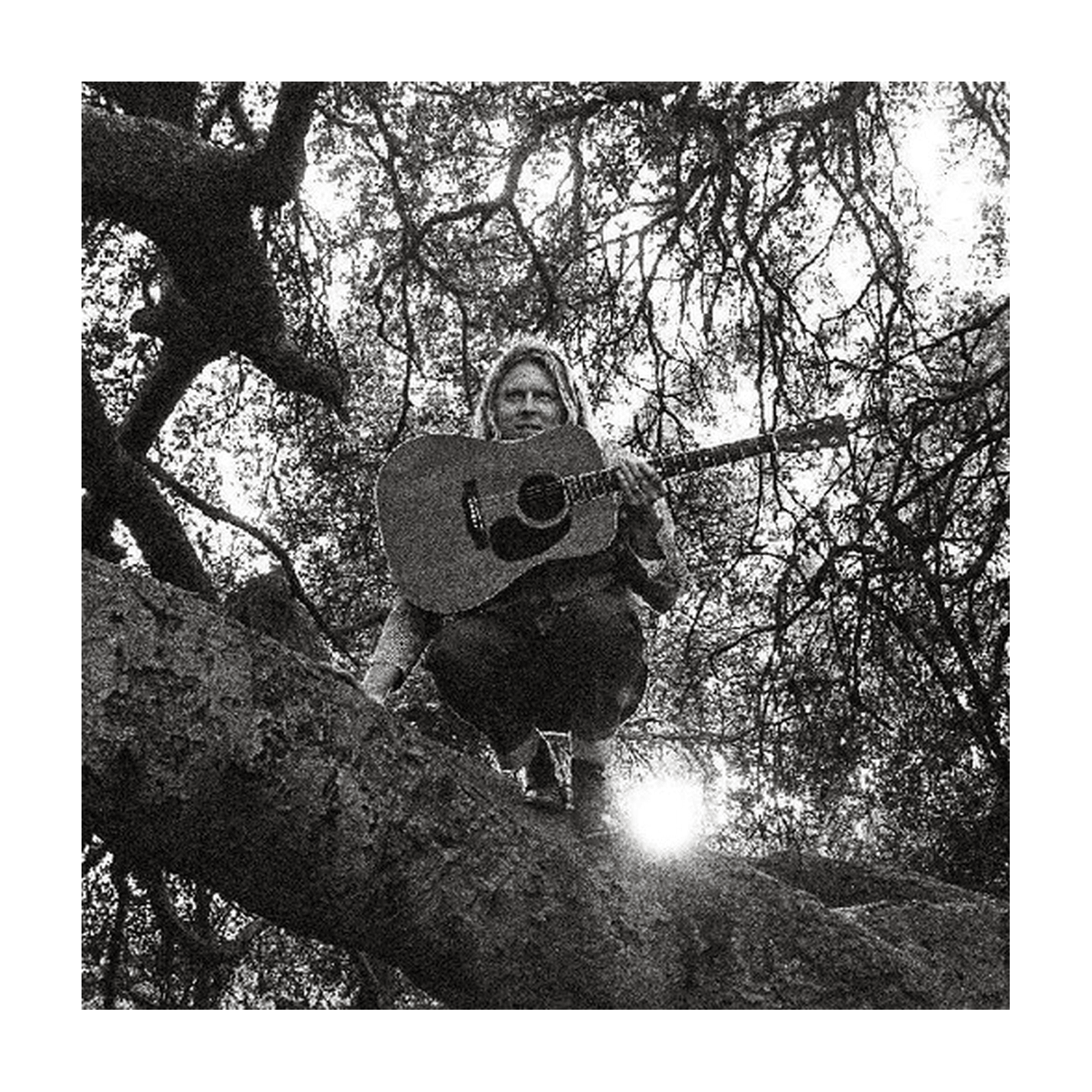 Ty Segall - Hello Hi - LEVITATION