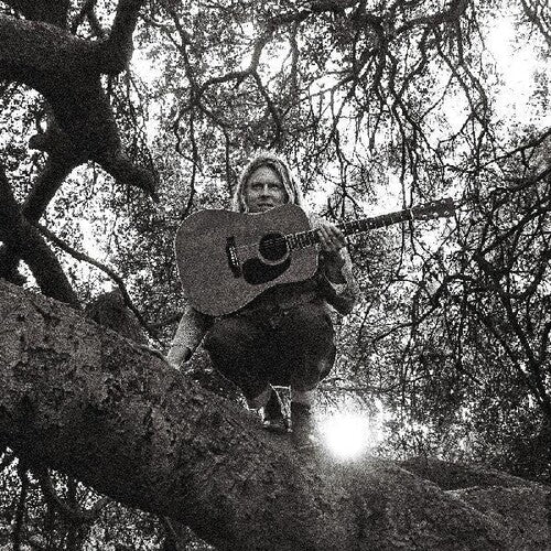 Ty Segall - HELLO HI - LEVITATION