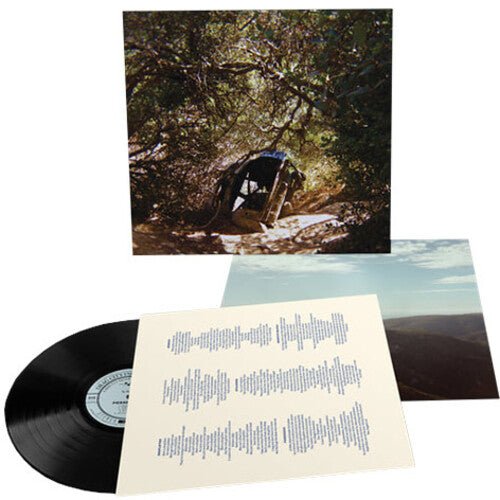 Ty Segall - POSSESSION - LEVITATION