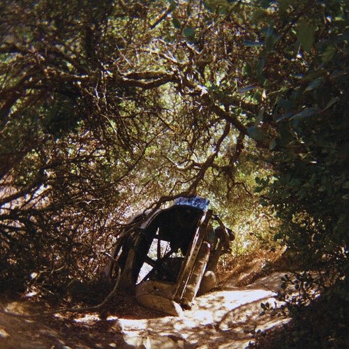 Ty Segall - Possession - LEVITATION