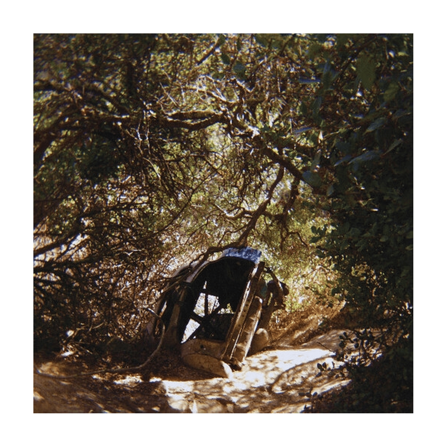 Ty Segall - Possession - LEVITATION