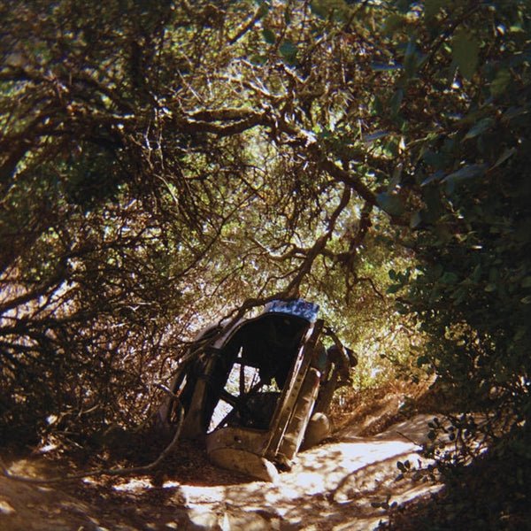Ty Segall - Possession (CD) - LEVITATION