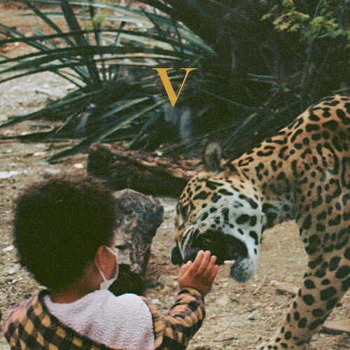 Unknown Mortal Orchestra - V - LEVITATION