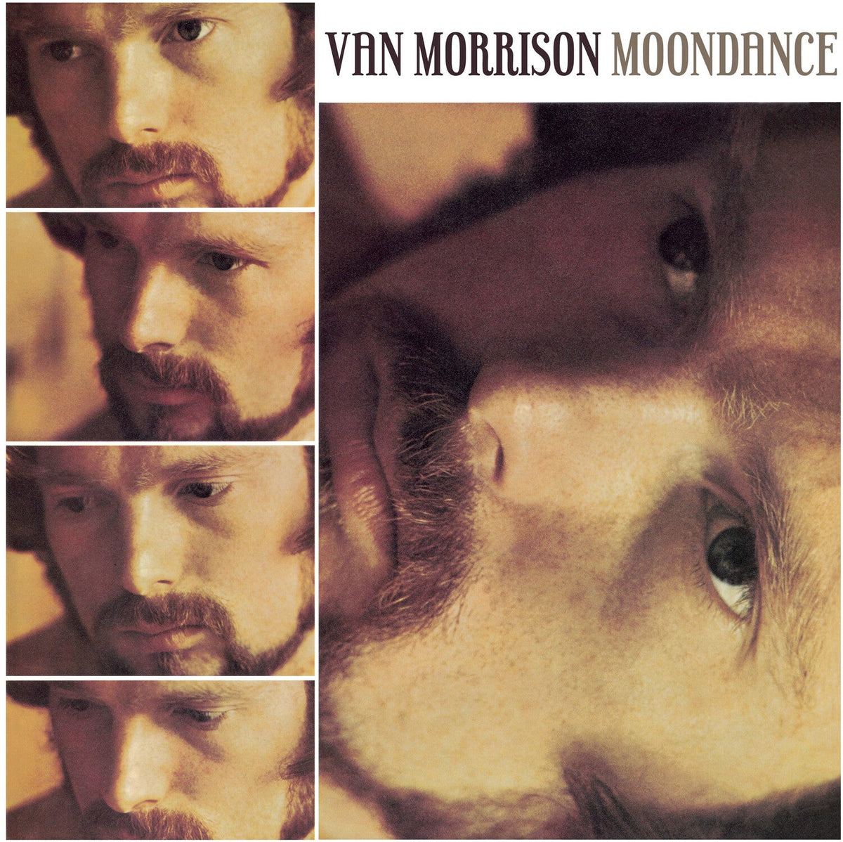Van Morrison - Moondance - LEVITATION