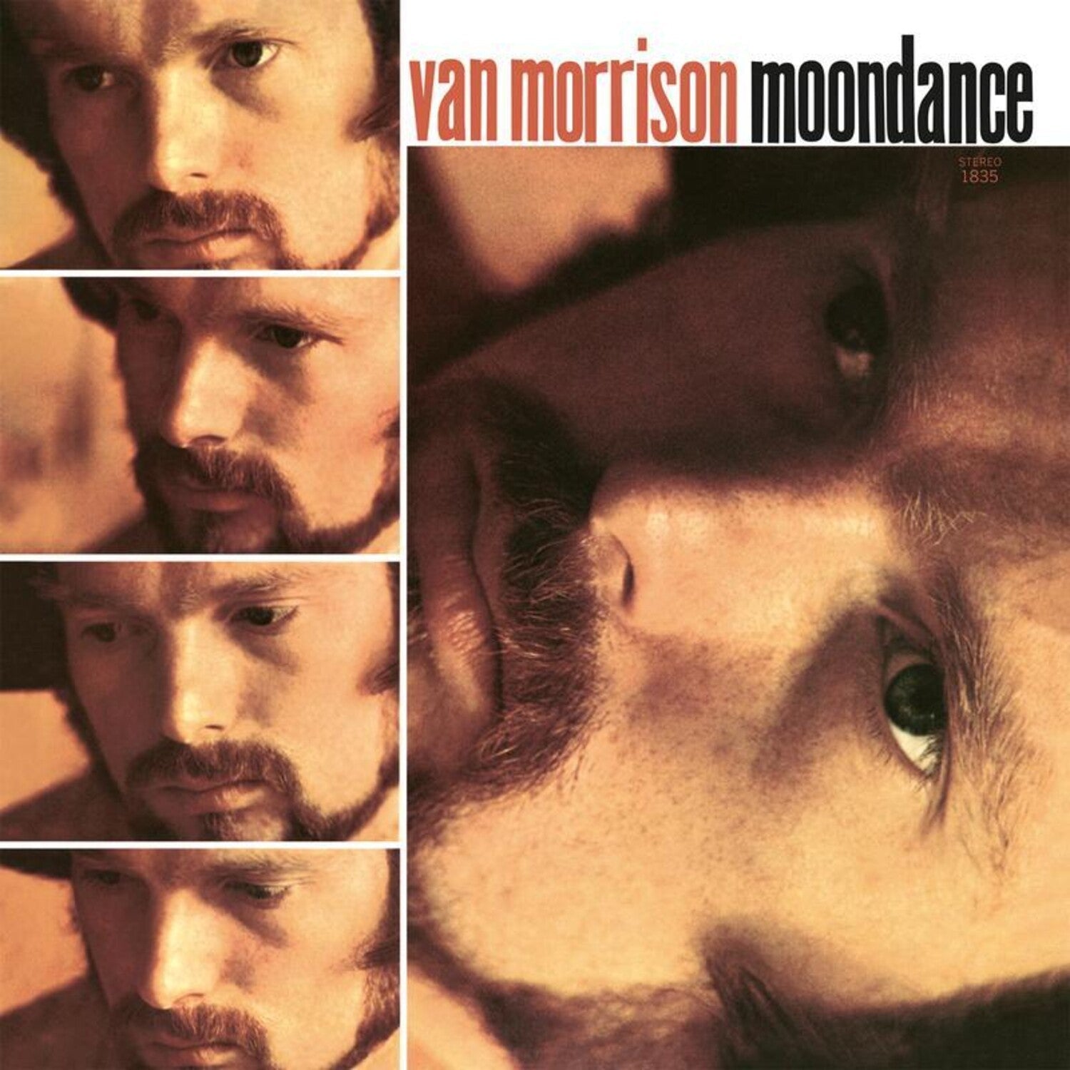 Van Morrison - Moondance - LEVITATION