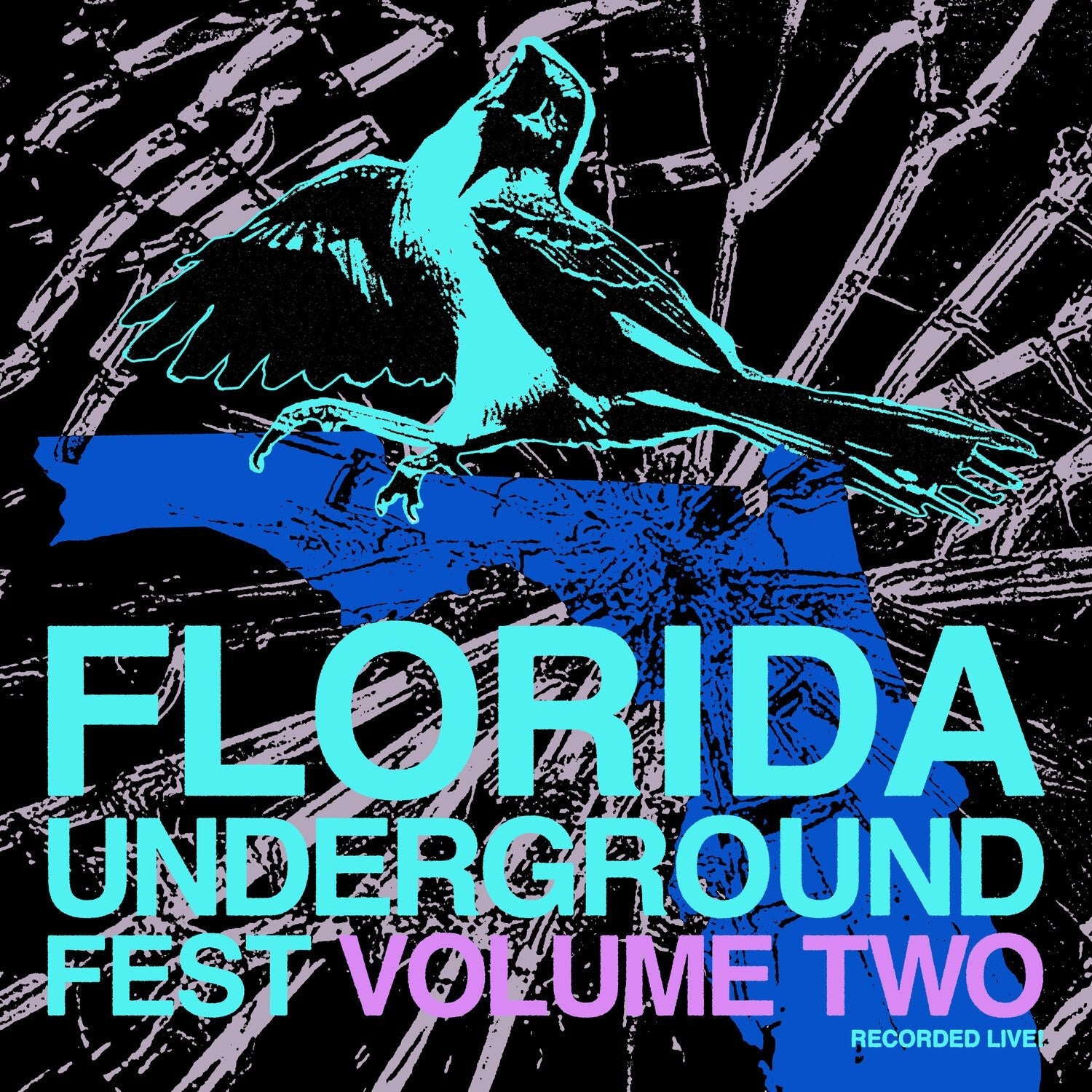 Various Artists - Florida Underground Fest 2 - LEVITATION