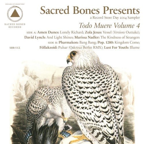 Various Artists - Todo Muere Vol 4 - LEVITATION