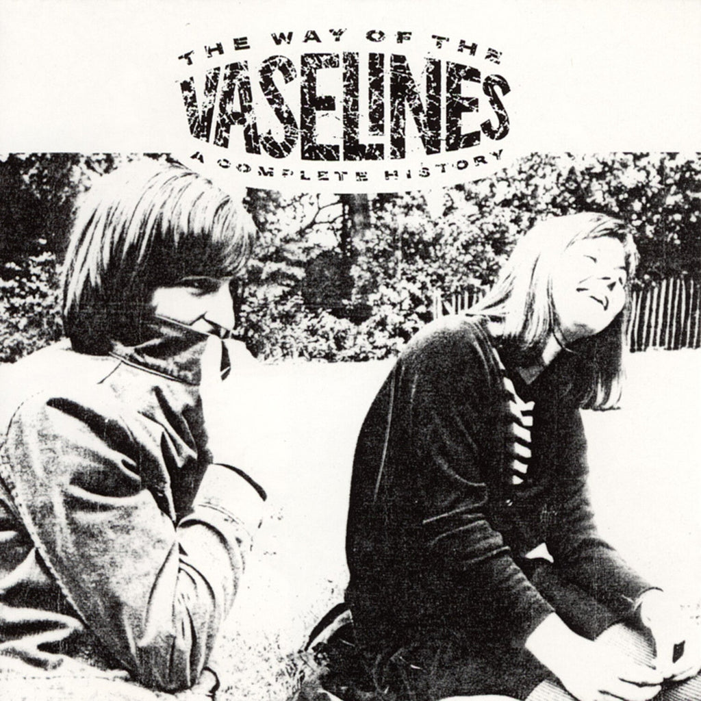 Vaselines - The Way of the Vaselines 2xLP - LEVITATION