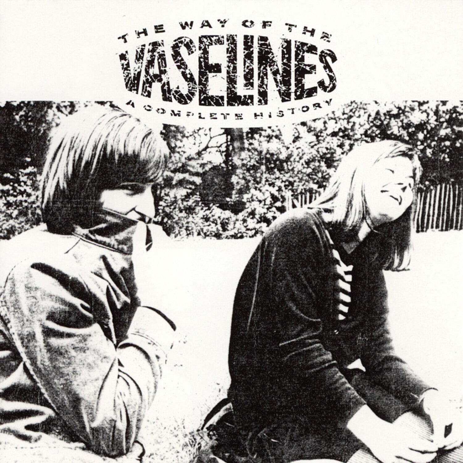 Vaselines - The Way of the Vaselines 2xLP - LEVITATION