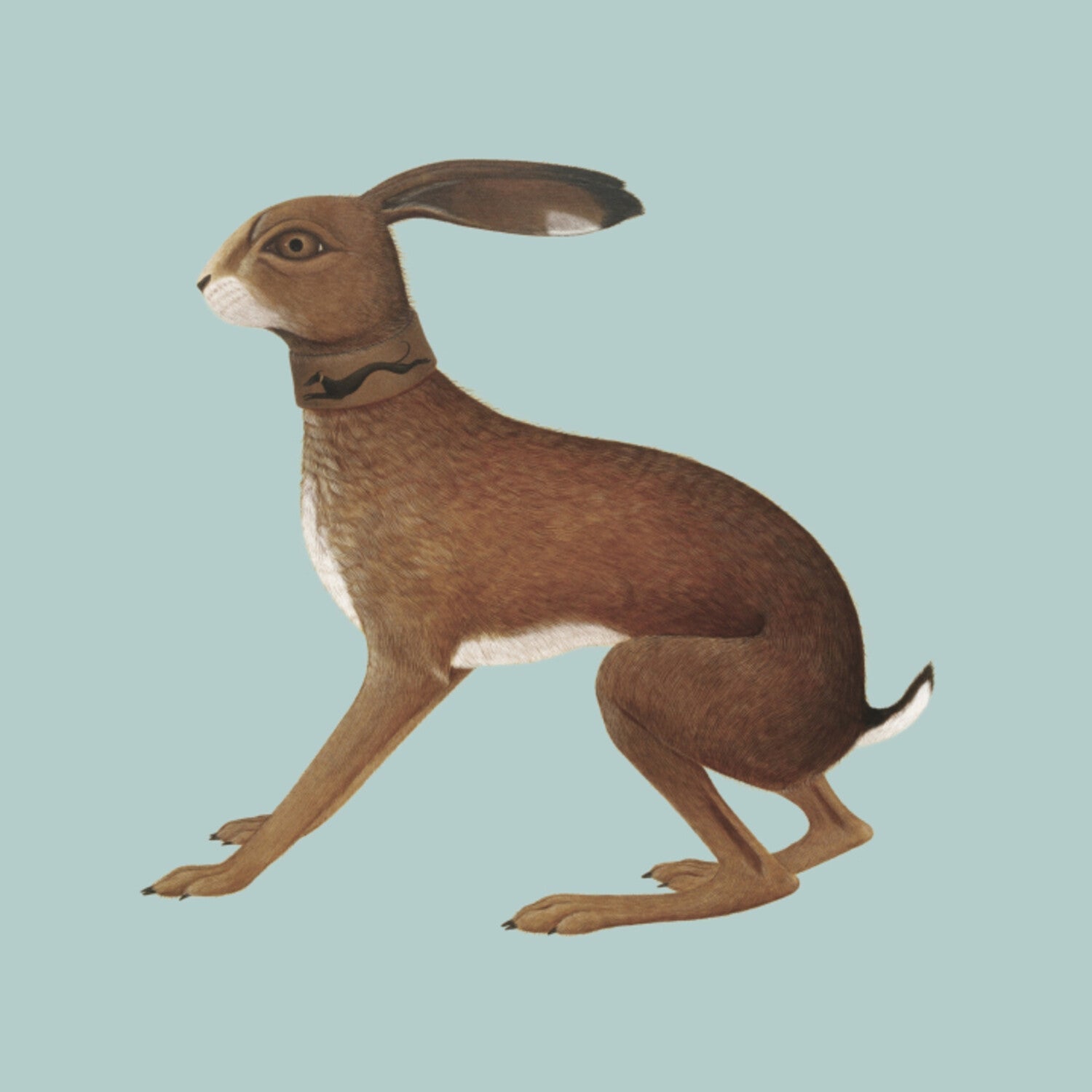 Vashti Bunyan - Lookaftering - Expanded 2xCD (Anniversary Edition) - LEVITATION