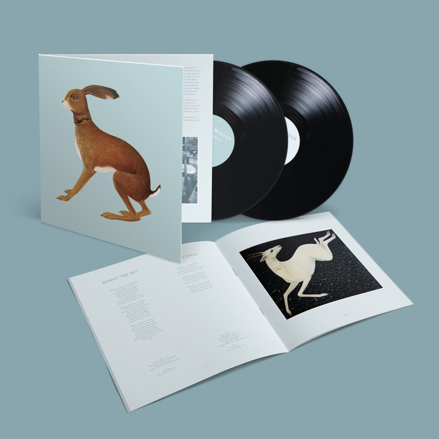 Vashti Bunyan - Lookaftering - Expanded 2xLP (Expanded) - LEVITATION