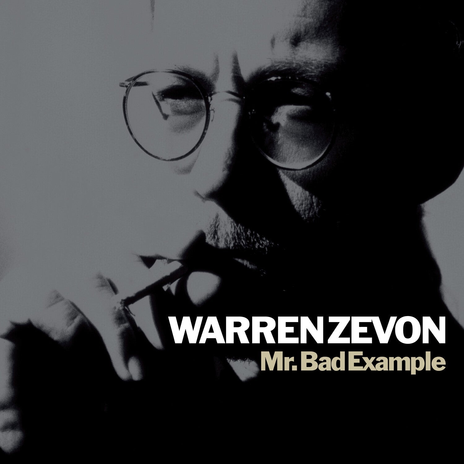 Warren Zevon - Mr. Bad Example - LEVITATION