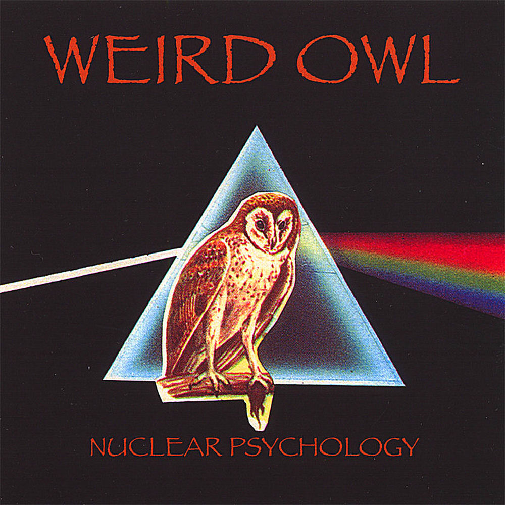 Weird Owl