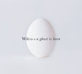 Wilco - A Ghost is Born (Cd)