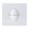 Wilco - Ghost is Born