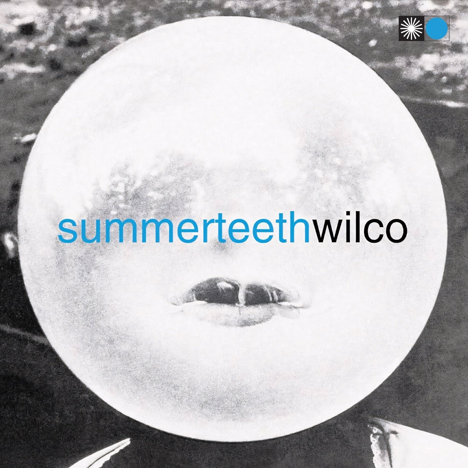 Wilco - Summerteeth (Cd) - LEVITATION