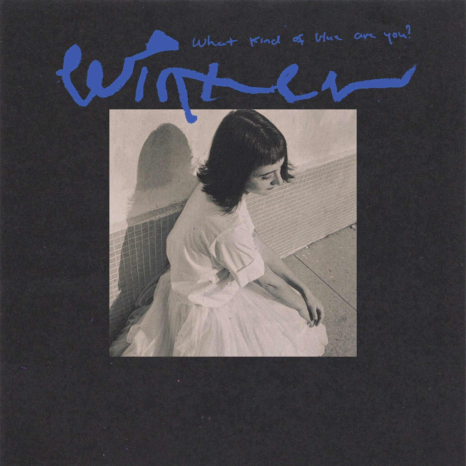 Winter - What Kind Of Blue Are You? - LEVITATION
