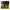 Wolf Parade - Expo 86 (CD) - LEVITATION