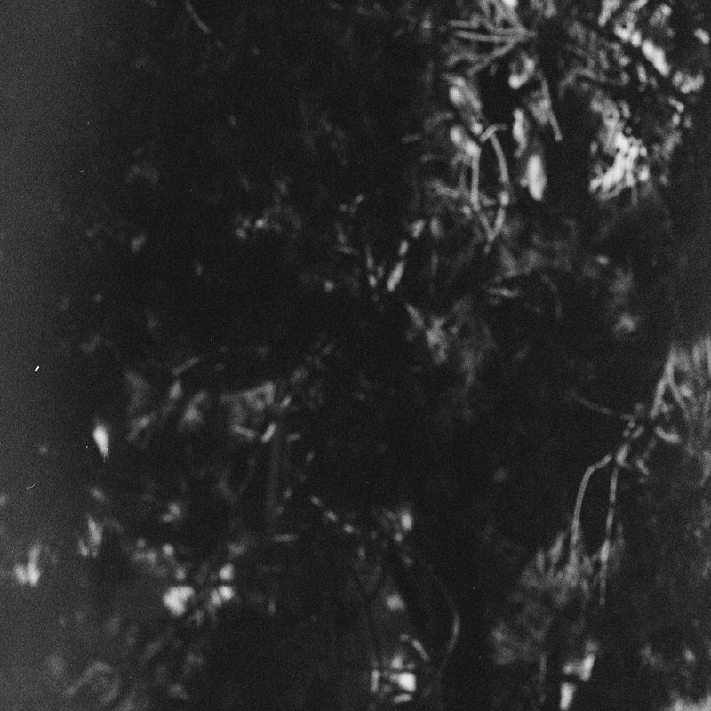 Woodsman