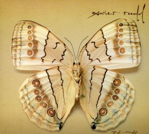 Xavier Rudd - White Moth (Cd) - LEVITATION