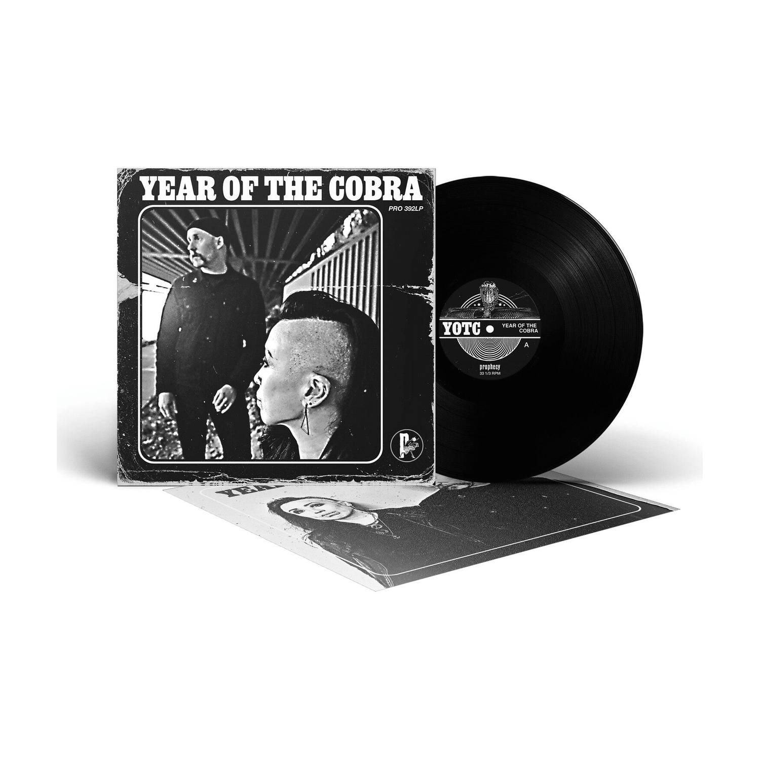 Year of the Cobra - LEVITATION