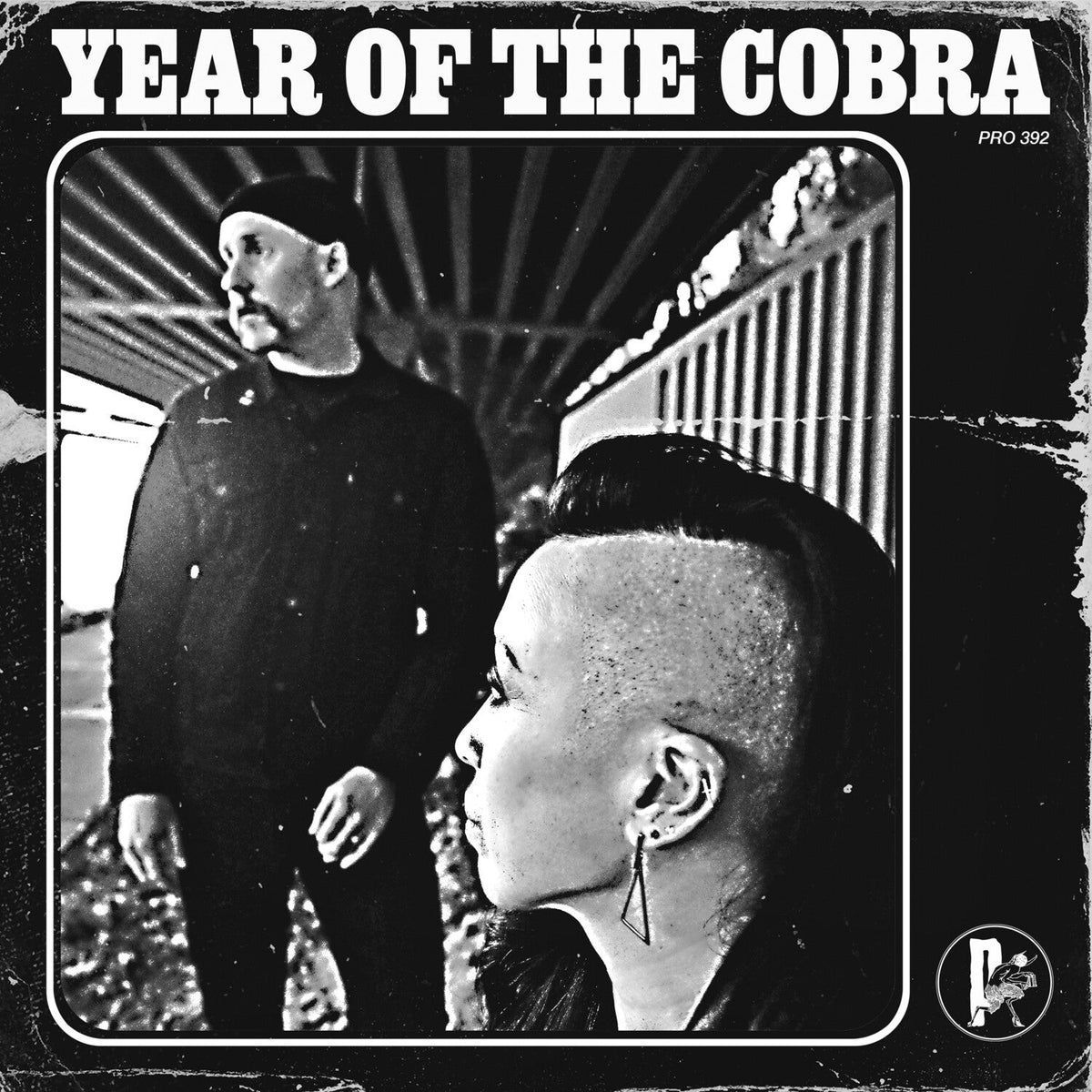 Year of the Cobra (CD) - LEVITATION