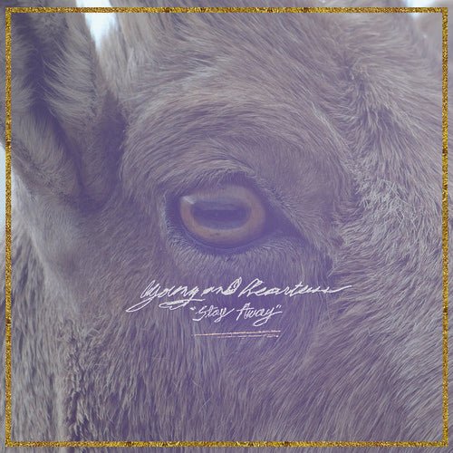 Young & Heartless - Stay Away - LEVITATION