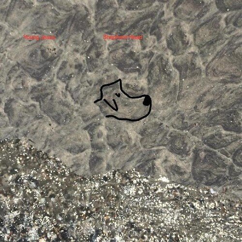 Young Jesus - Shepherd Head - LEVITATION