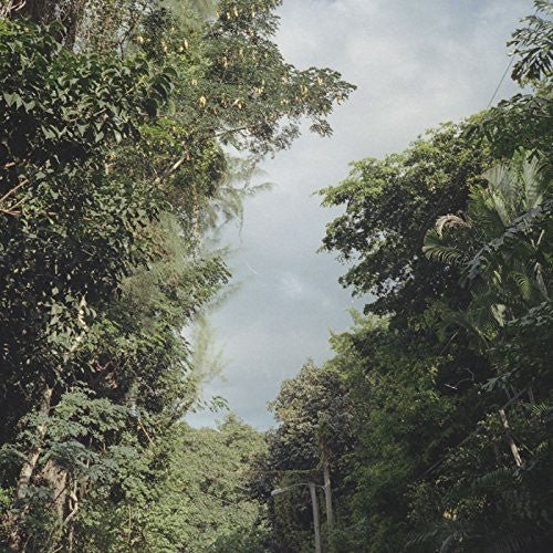 Zac Nelson - New Once - LEVITATION